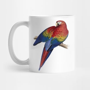 Scarlet Macaw Perched On A Branch Illustration Mug